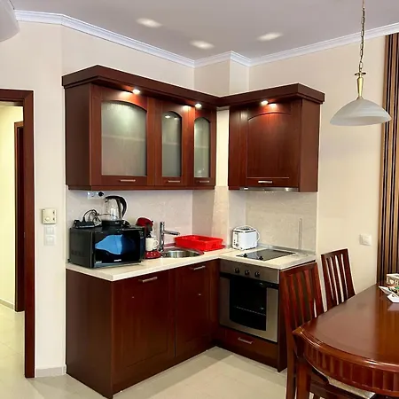 Bardarova Downtown アパート *