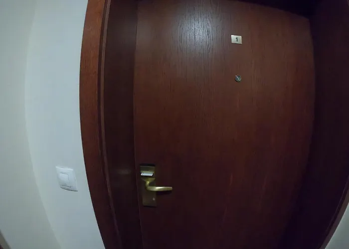 Bardarova Downtown בנסקו